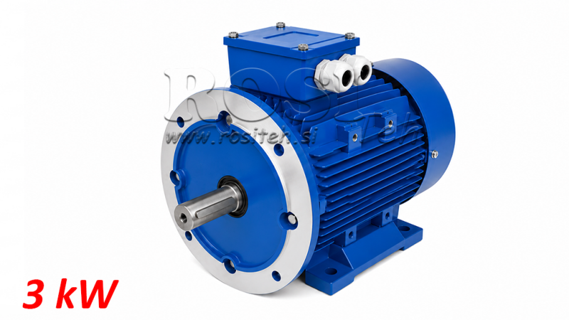 MOTEUR ÉLECTRIQUE 3KW MS100L2-4_1420RPM 3PHASE PATTES+FLANGE-B3B5