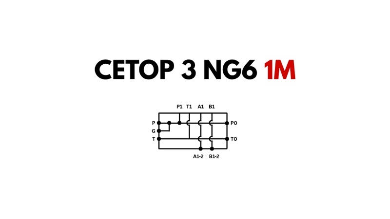 PIEDE CETOP3 NG6 1M