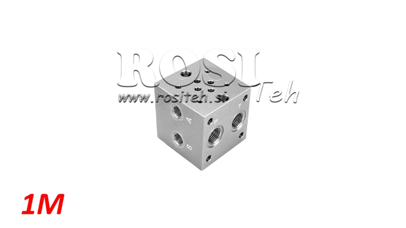 PIEDE CETOP3 NG6 1M