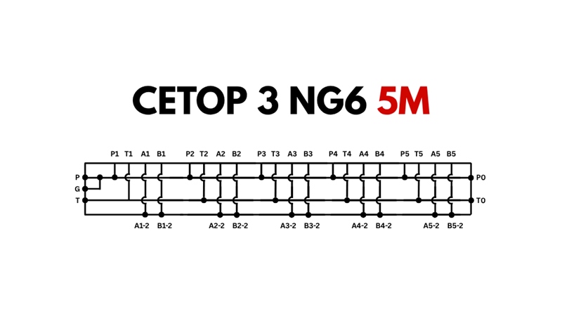 PIEDE CETOP3 NG6 5M