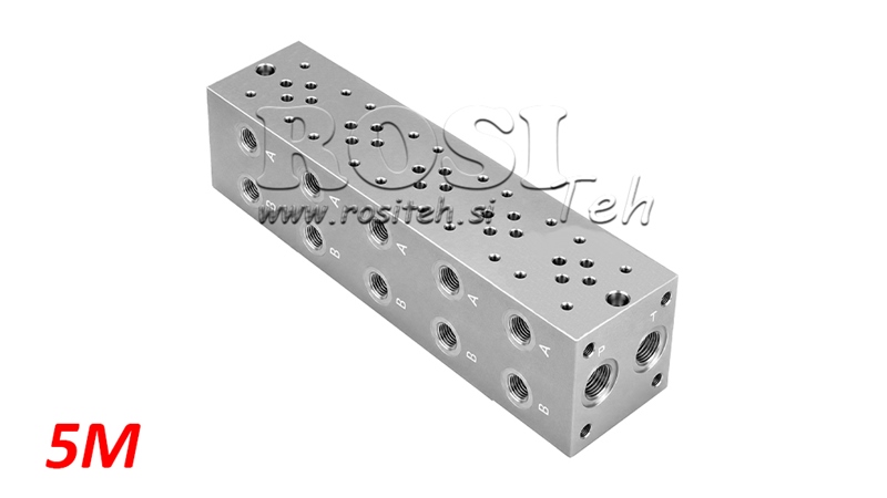 PIEDE CETOP3 NG6 5M
