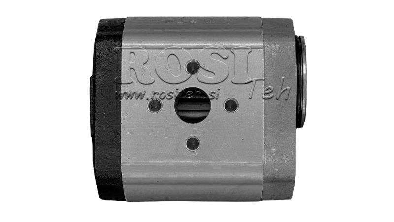 HYDRAULISK PUMPE 20C19X066 BAK GR.2 19 CC HØYRE