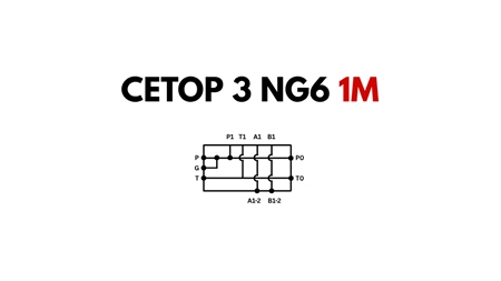PIEDE CETOP3 NG6 1M