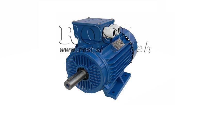 ELECTRIC MOTOR 2P B3 3F feet