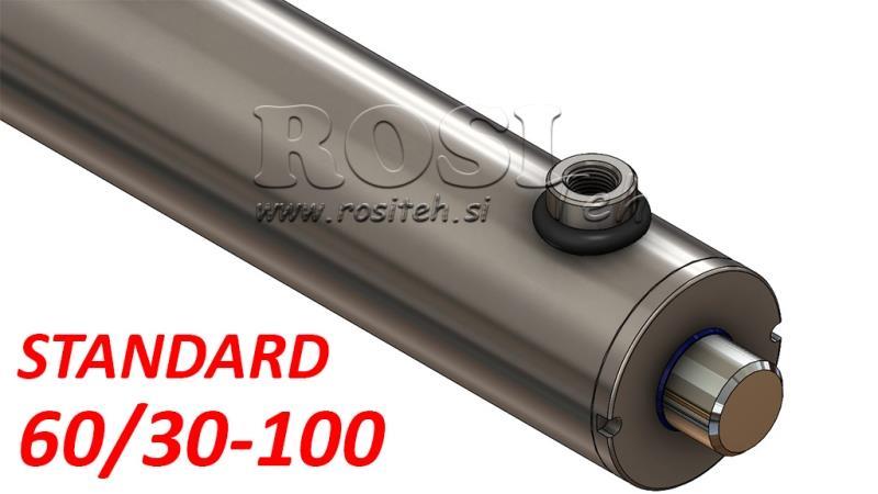 CILINDRO IDRAULICO STANDARD 60/30-100