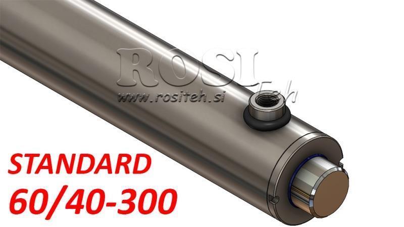 HYDRAULIC CYLINDER STANDARD 60/40-300