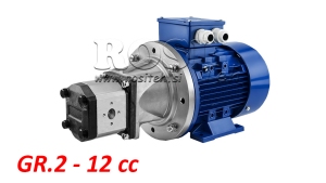 HYDRAULIC-PUMP-ASSEMBLY-GR.2-12-CCM