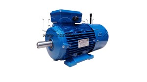 ELEKTRISCHE-MOTOREN-MET-REM