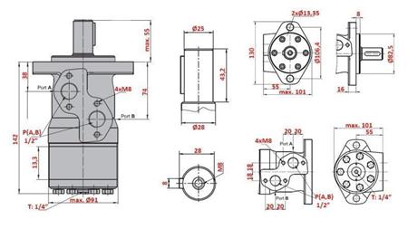 HIDROMOTOR MP 100
