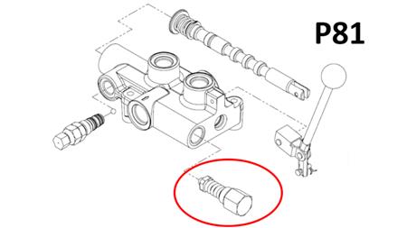 ÜBERDRUCKVENTIL FÜR P81