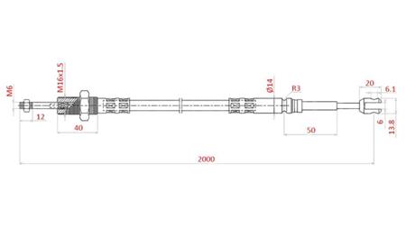 BRAID L=2000 - forks