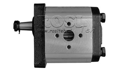GEAR HYDRAULIC MOTOR (20MR22X546) GR.2 - 22CC